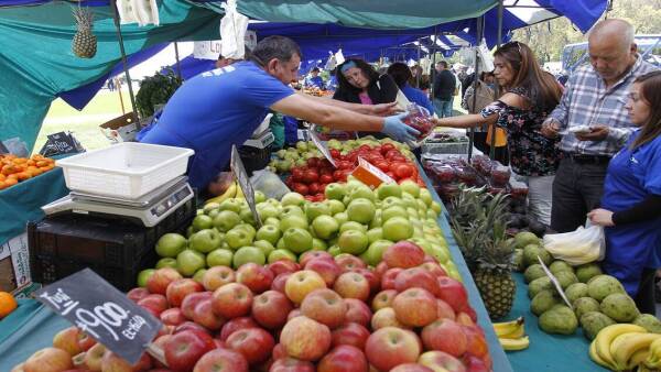 Celebran el Dia Nacional de las Frutas y Verduras